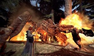 Dragons Dogma for pc