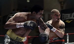 Fight Night Champion for pc