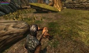 Ravensword Undaunted for pc